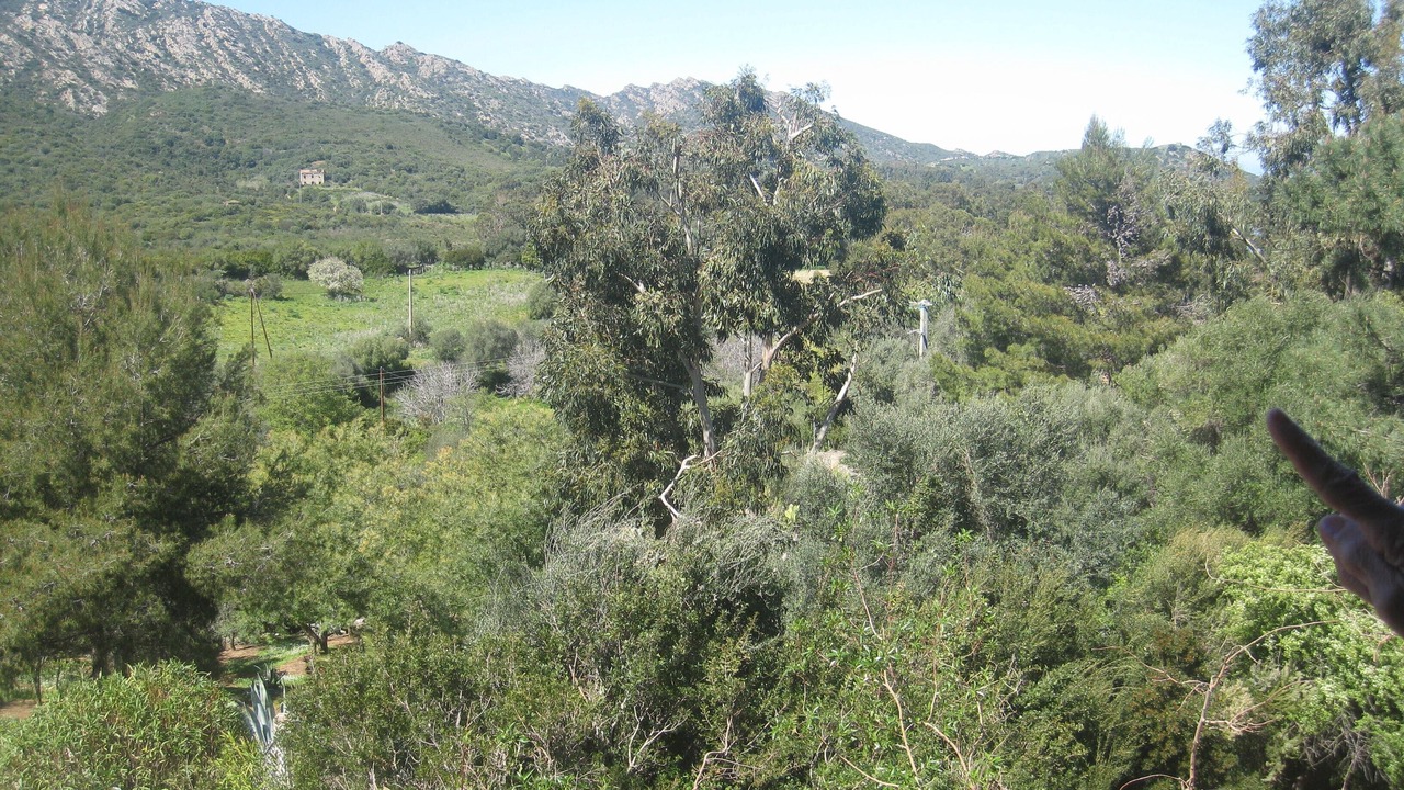 Photo of Outdoor in Saint-Florent
