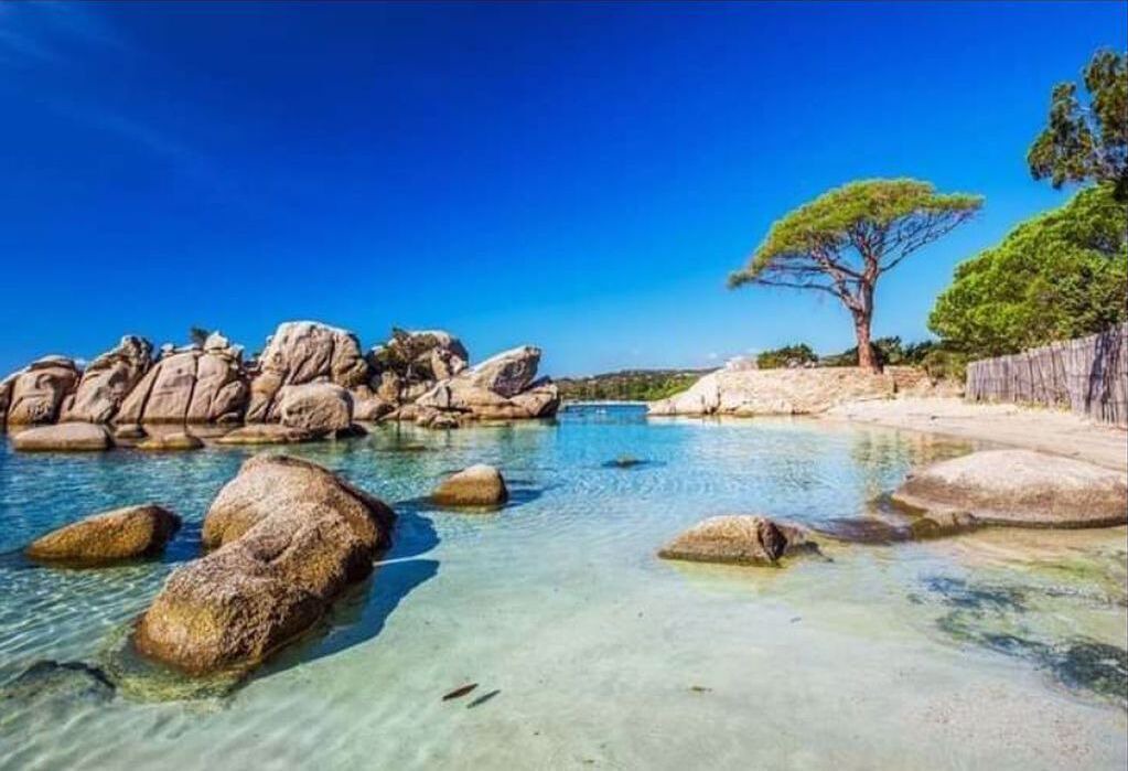 Photo of Others in Porto-Vecchio