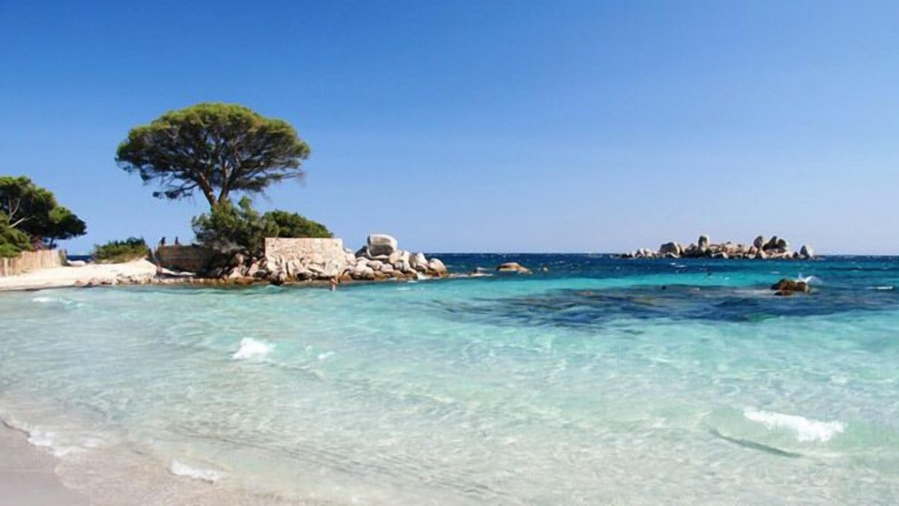 Photo of Others in Porto-Vecchio