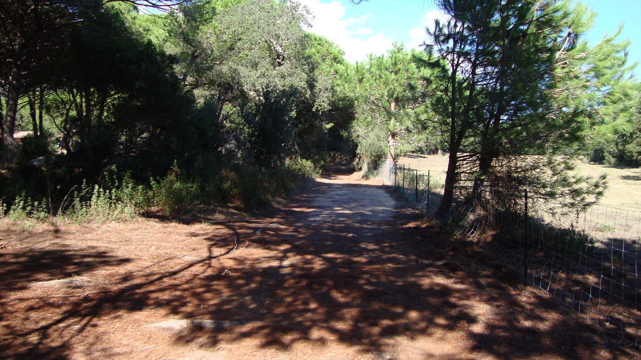 Photo of Outdoor in Porto-Vecchio