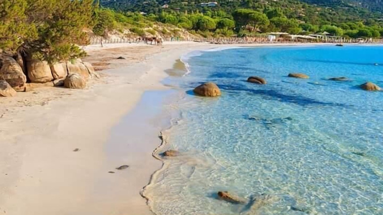 Photo of Others in Porto-Vecchio