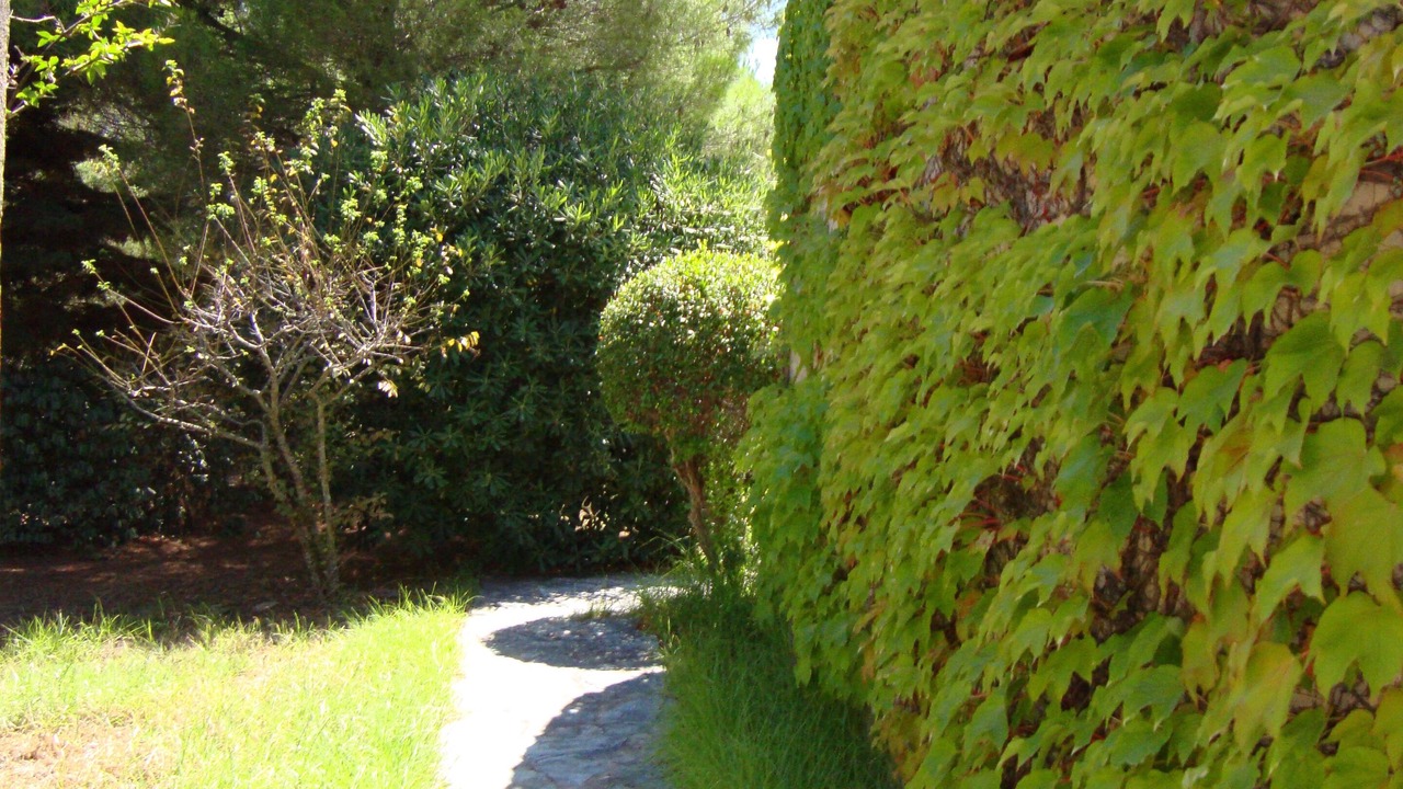 Photo of Outdoor in Porto-Vecchio