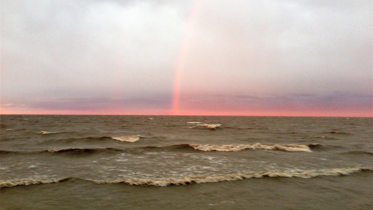 Photo of Others in Oak Harbor