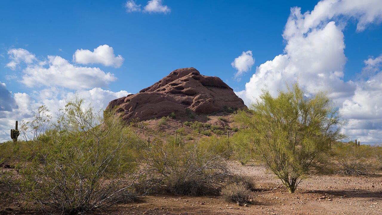 Photo of Outdoor in New Papago Parkway