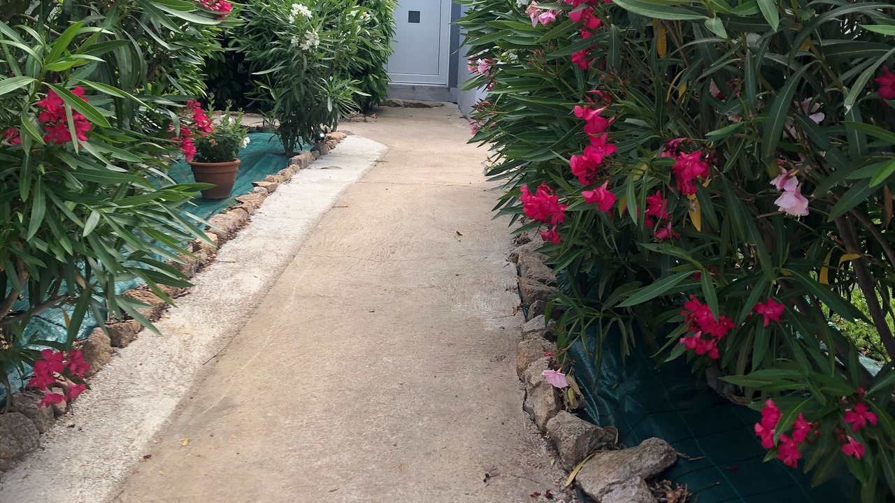 Photo of Outdoor in Porto-Vecchio