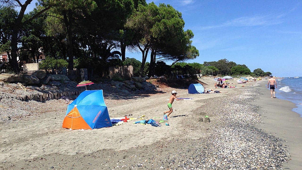 Photo of Others in Santa-Lucia-di-Moriani