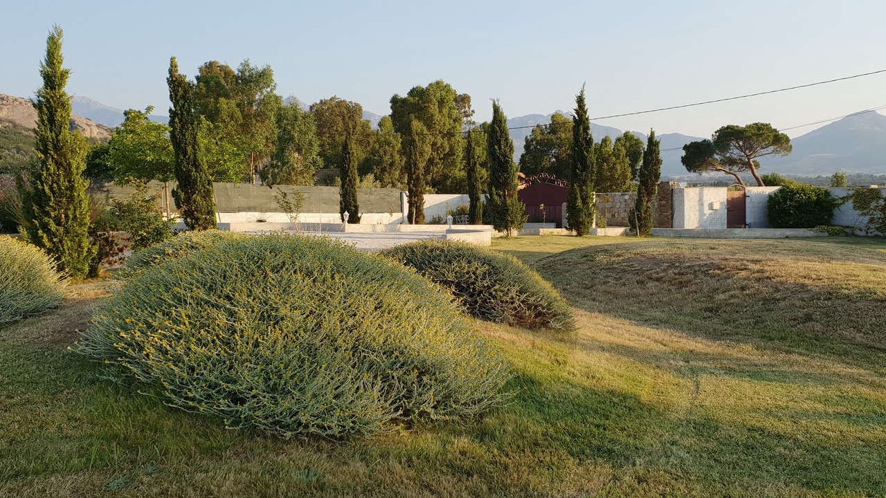 Photo of Outdoor in Calenzana