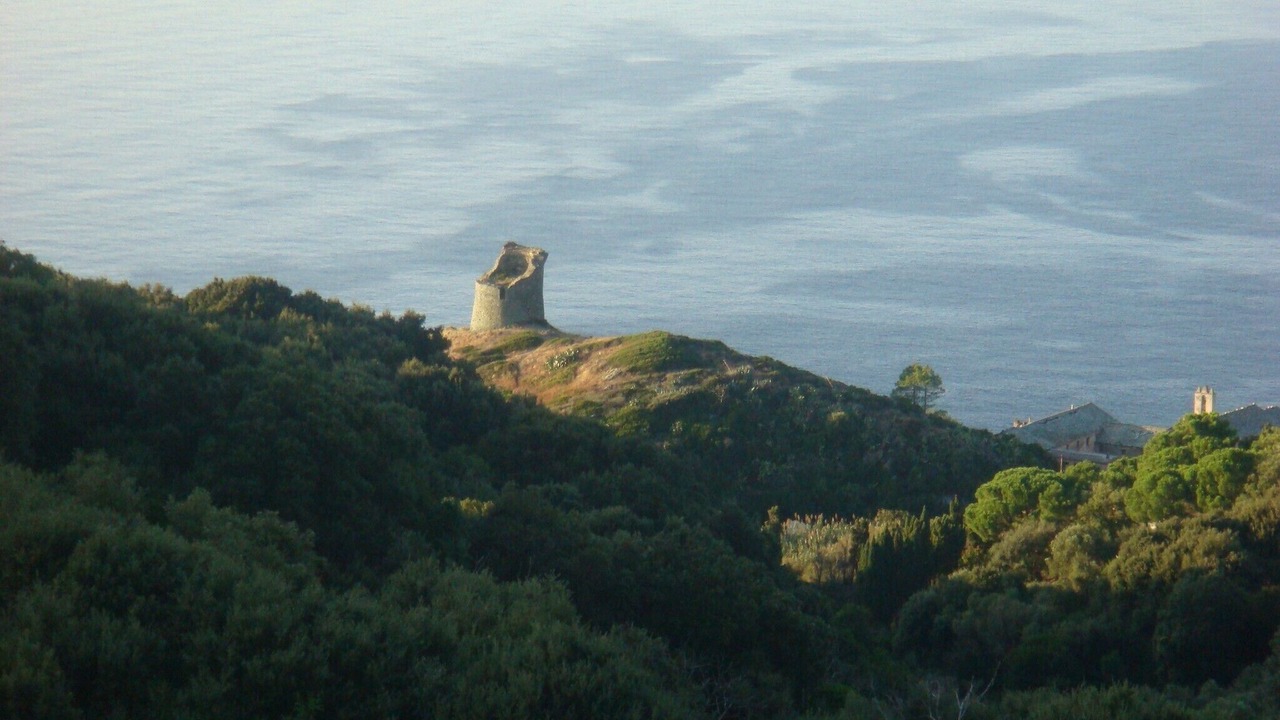 Photo of Others in Pino