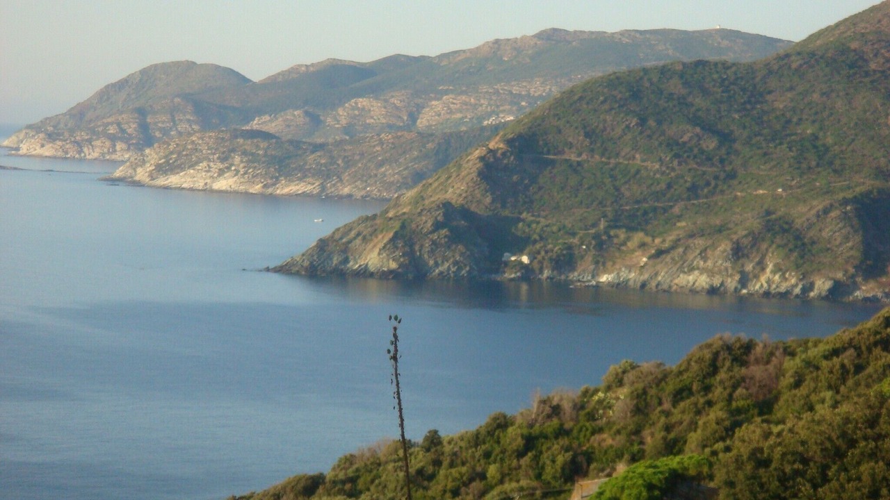 Photo of Others in Pino