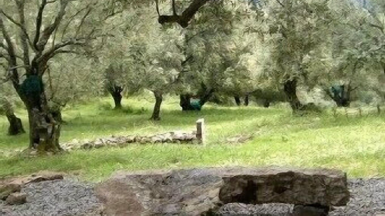 Photo of Outdoor in Sartene