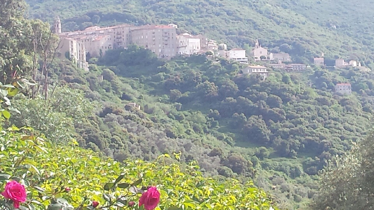 Photo of Outdoor in Sartene
