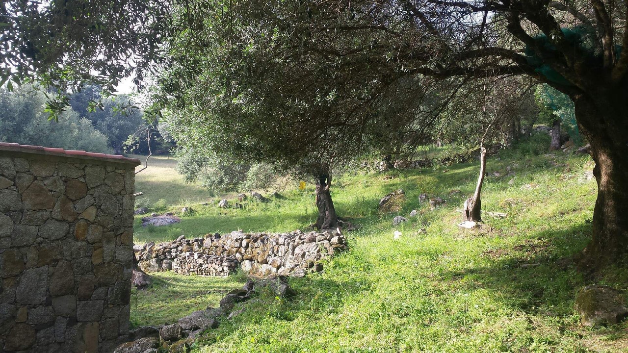 Photo of Outdoor in Sartene