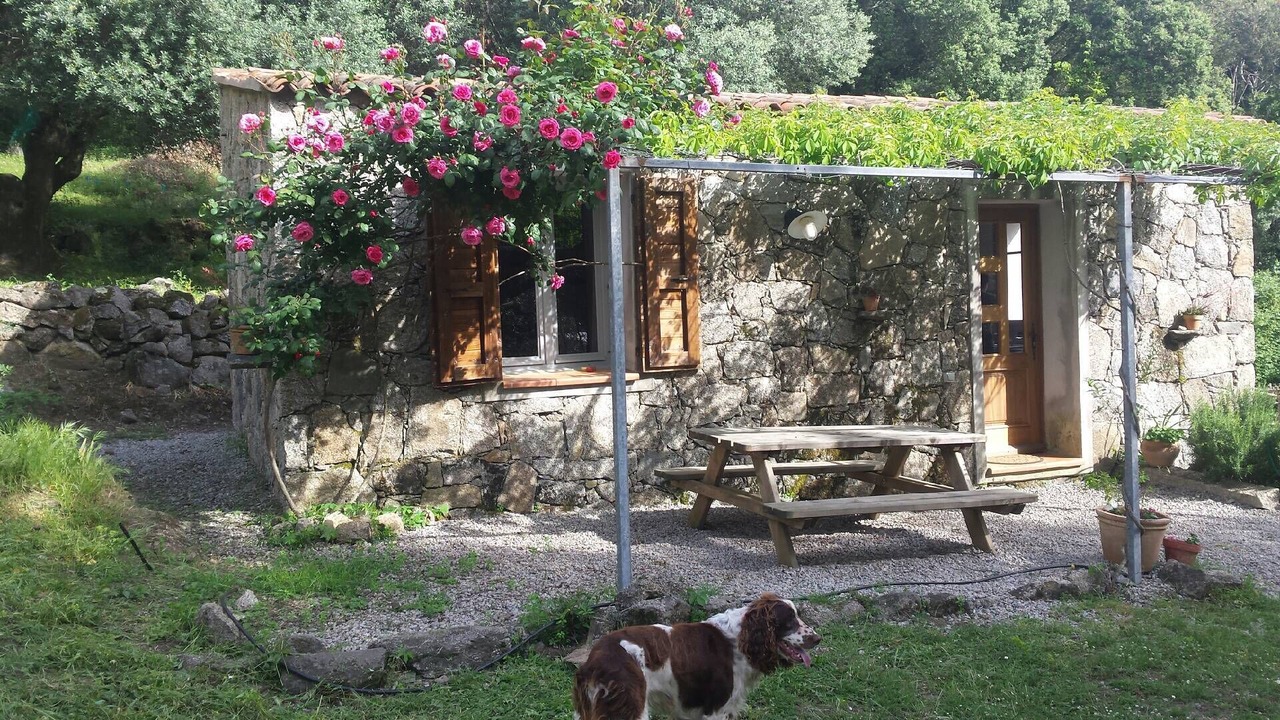 Photo of Outdoor in Sartene