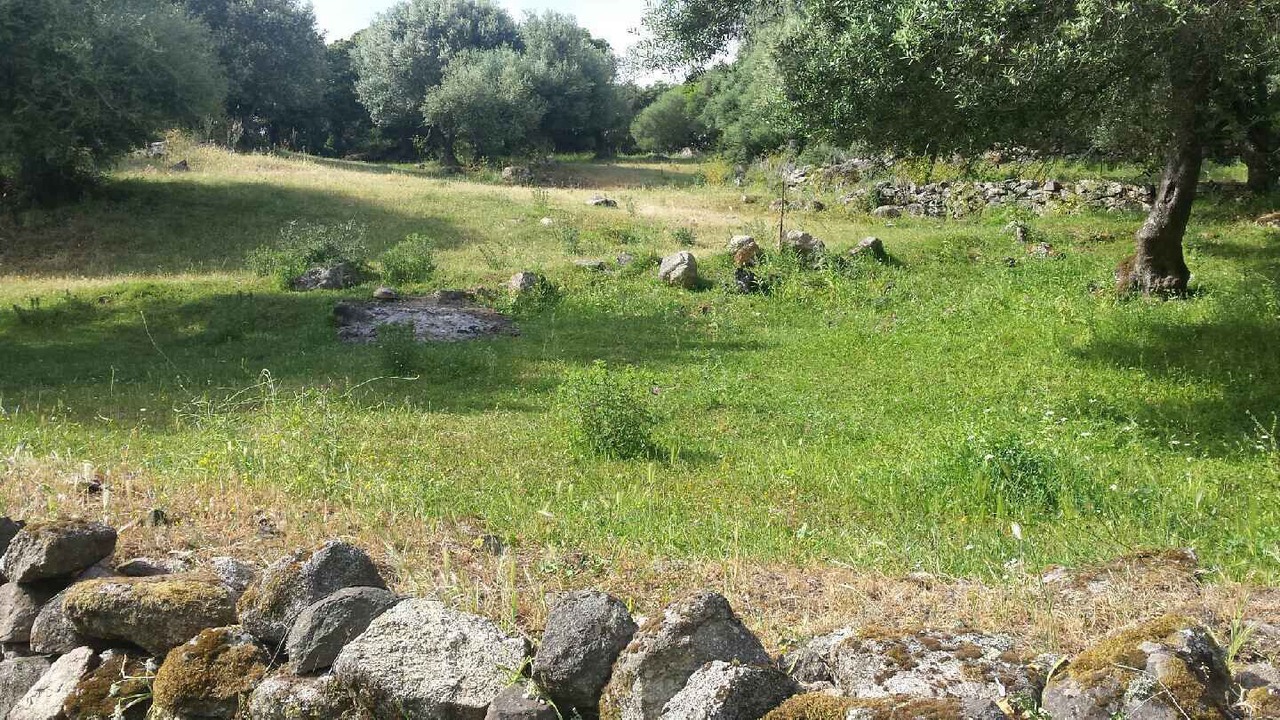 Photo of Outdoor in Sartene