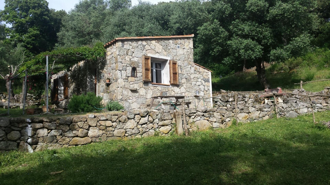 Photo of Outdoor in Sartene