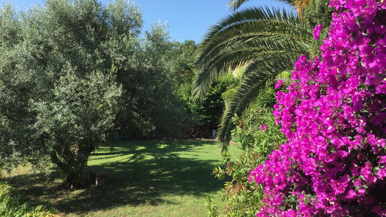 Photo of Outdoor in Borgo