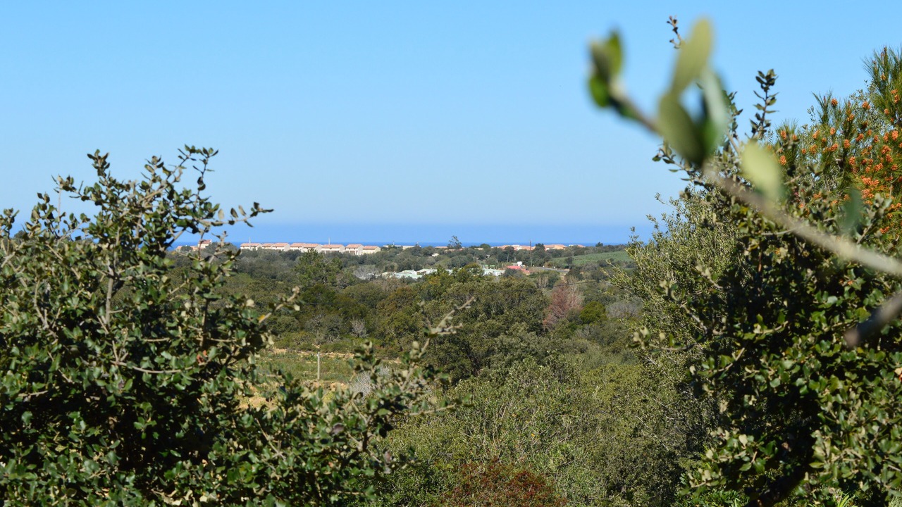 Photo of Others in Palasca