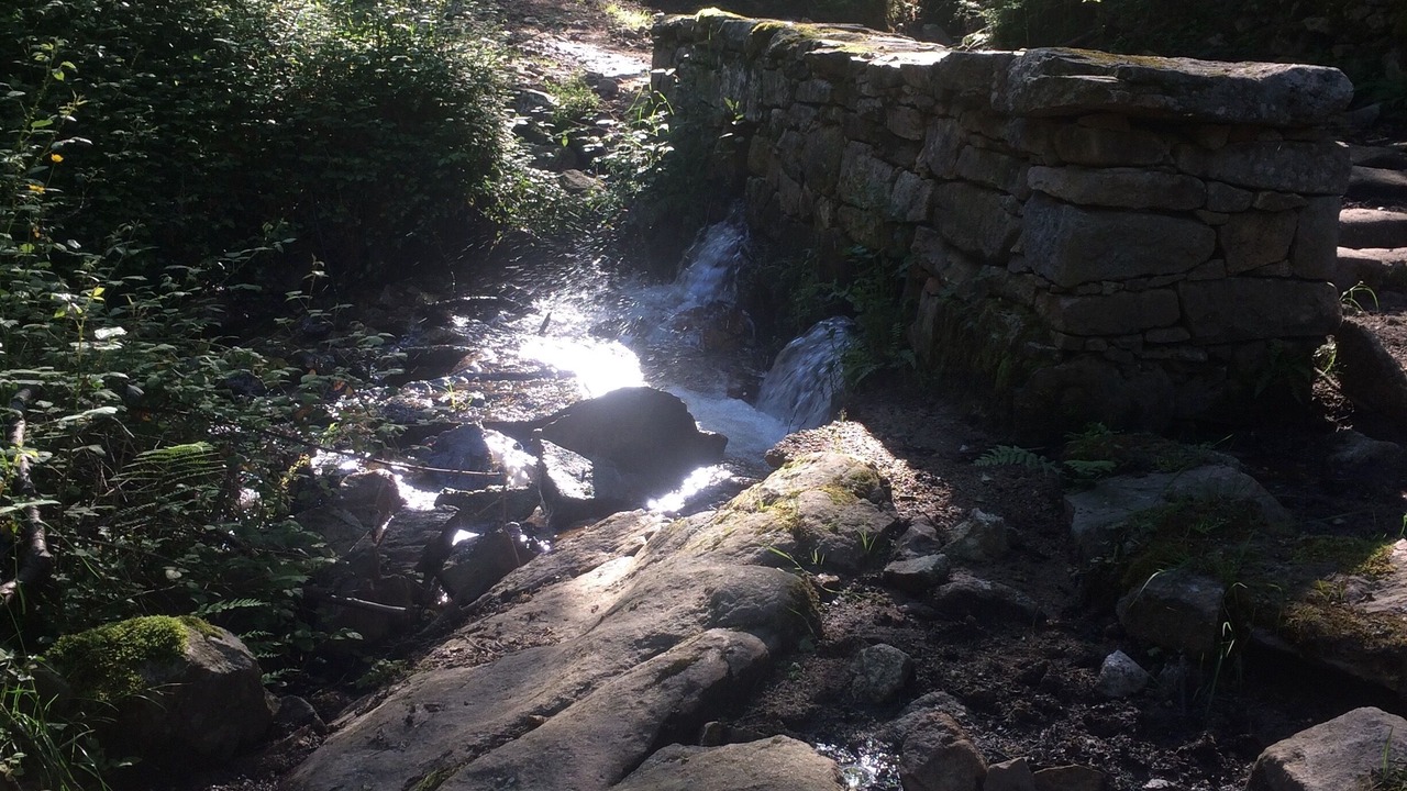 Photo of Outdoor in Evisa