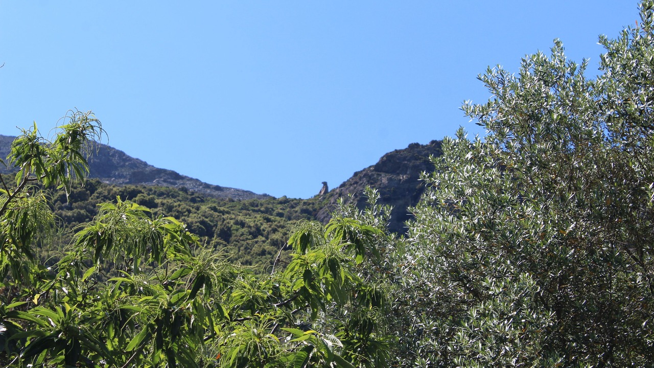 Photo of Others in Pietracorbara