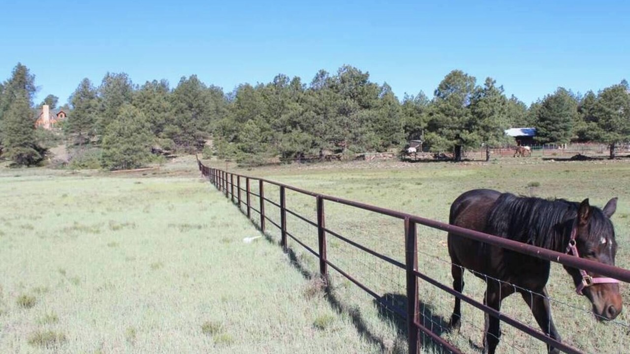 Photo of Others in Williams