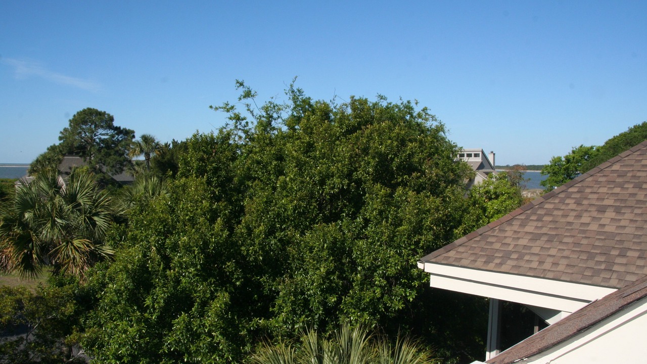 Photo of Others in Spinnaker Beachhouses