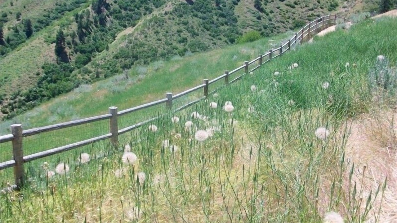 Photo of Others in Boise