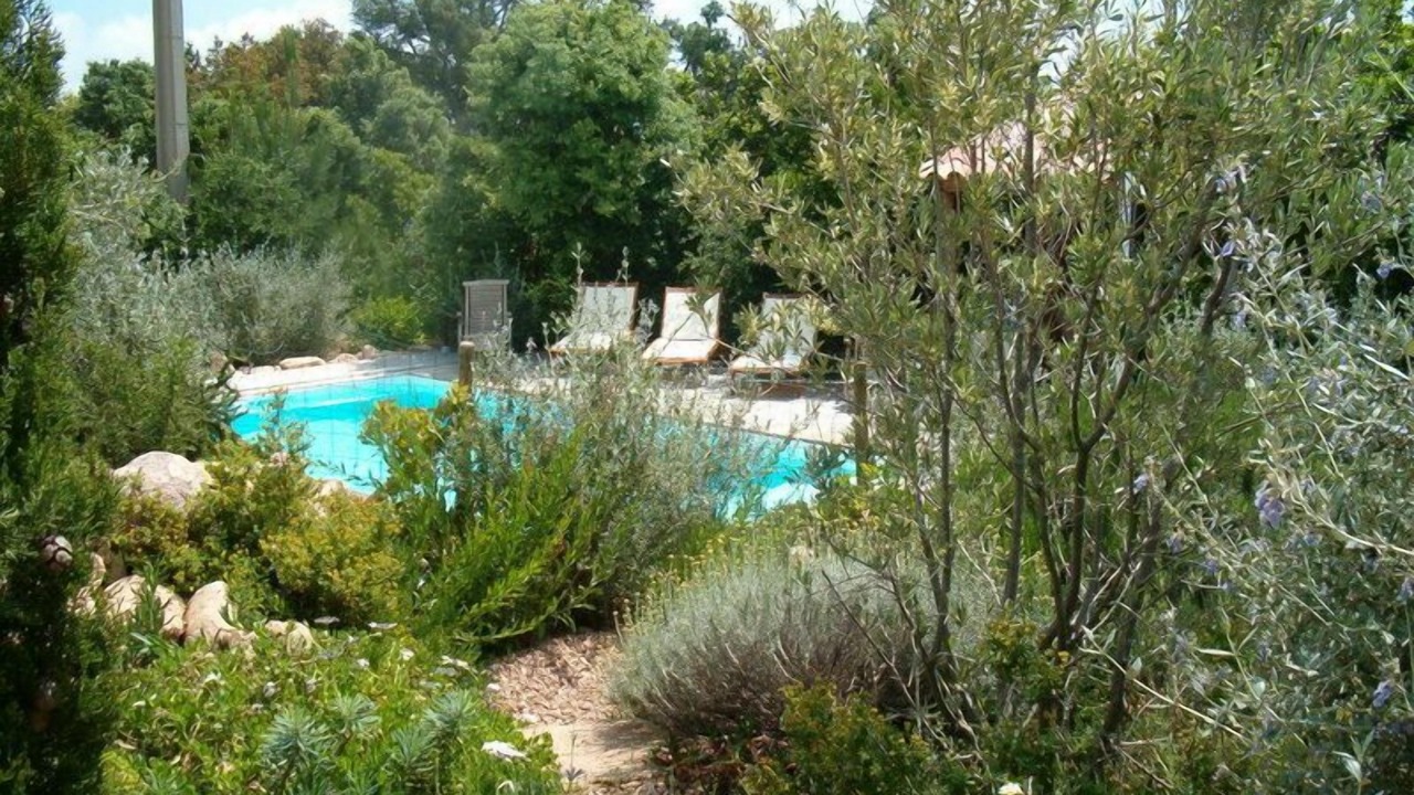 Photo of Outdoor in San-Gavino-di-Carbini
