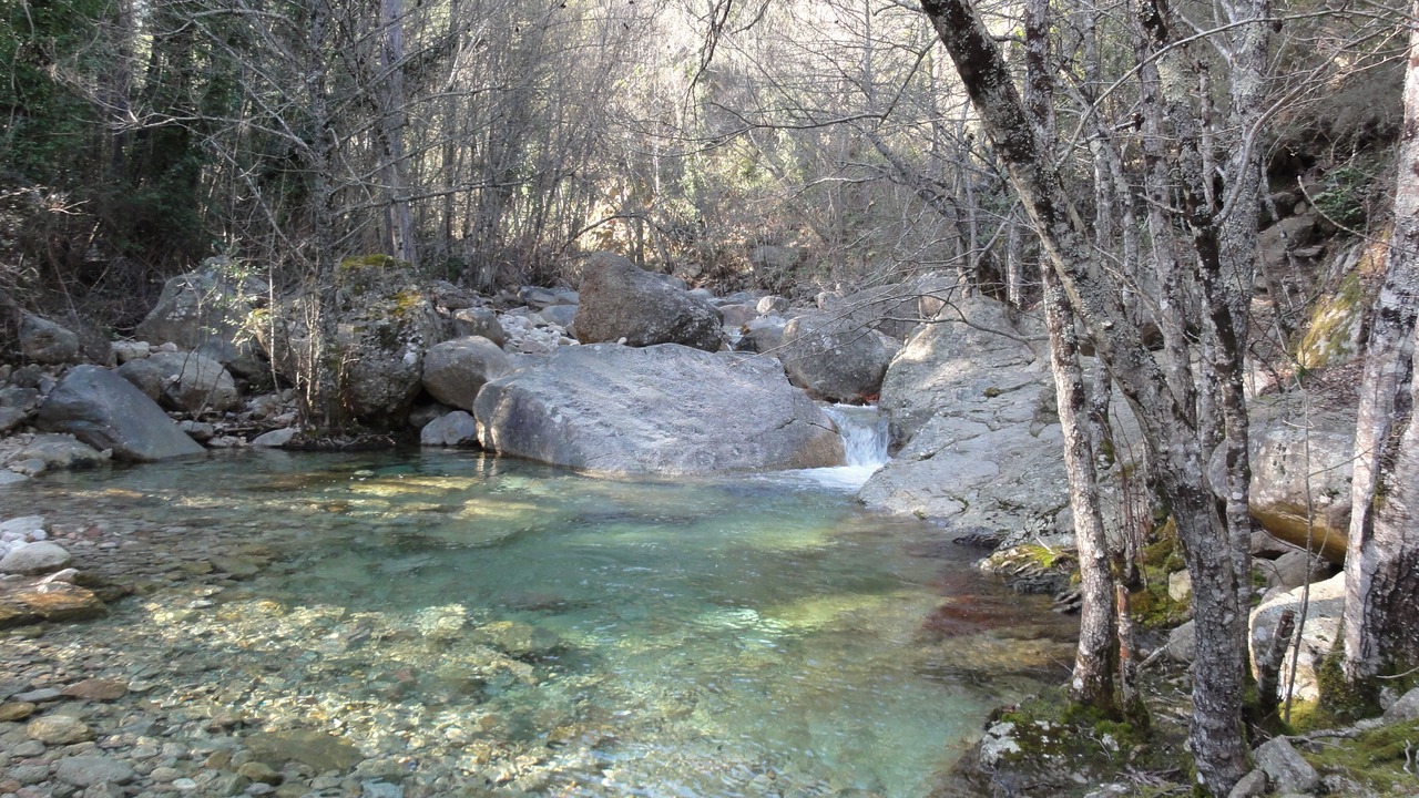 Photo of Outdoor in San-Gavino-di-Carbini