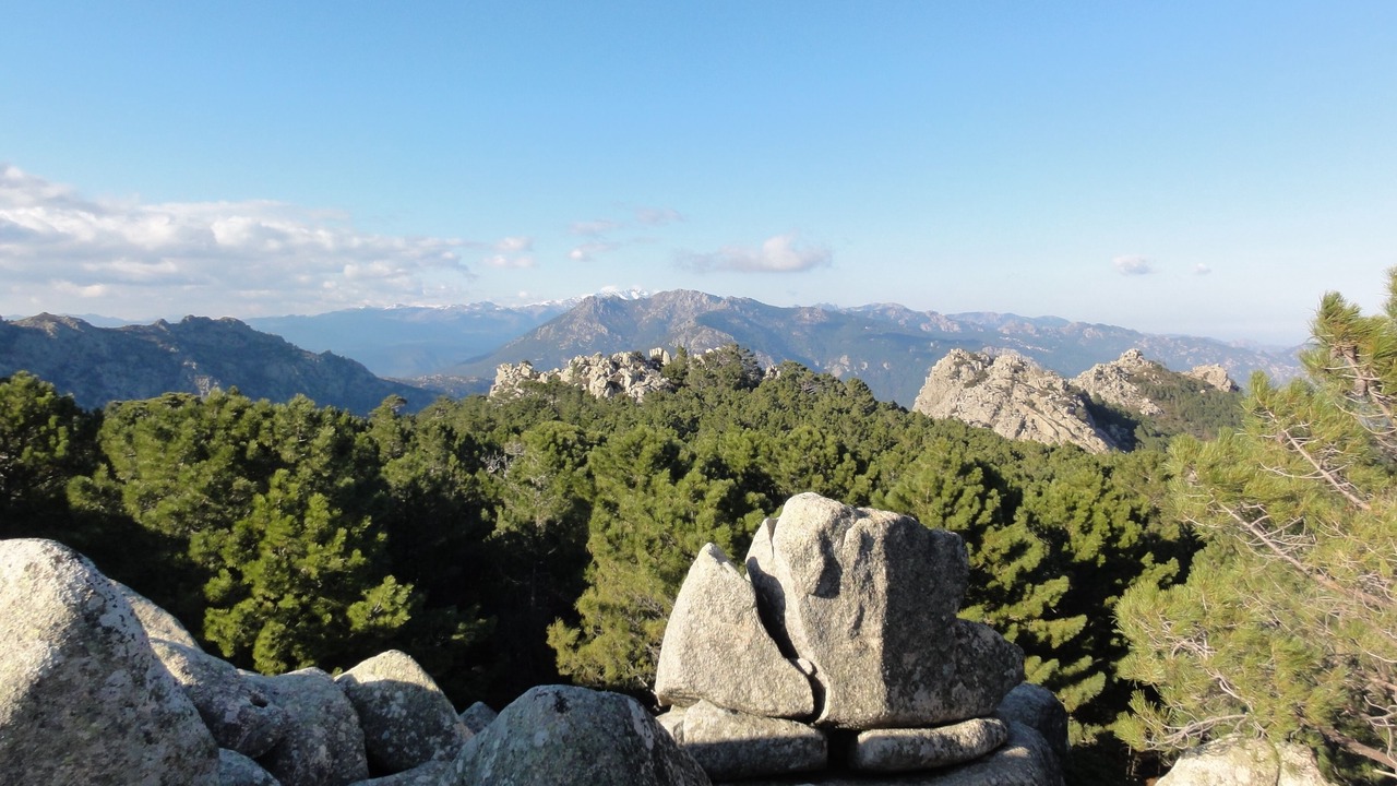 Photo of Others in San-Gavino-di-Carbini