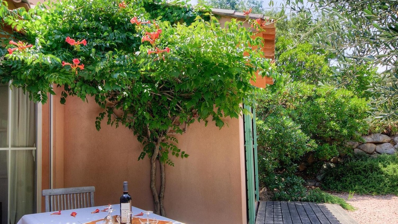 Photo of Outdoor in San-Gavino-di-Carbini