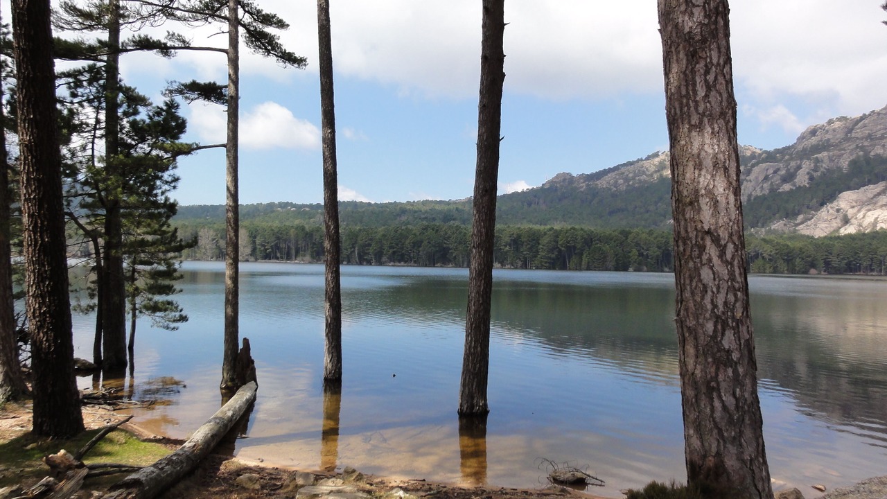 Photo of Outdoor in San-Gavino-di-Carbini