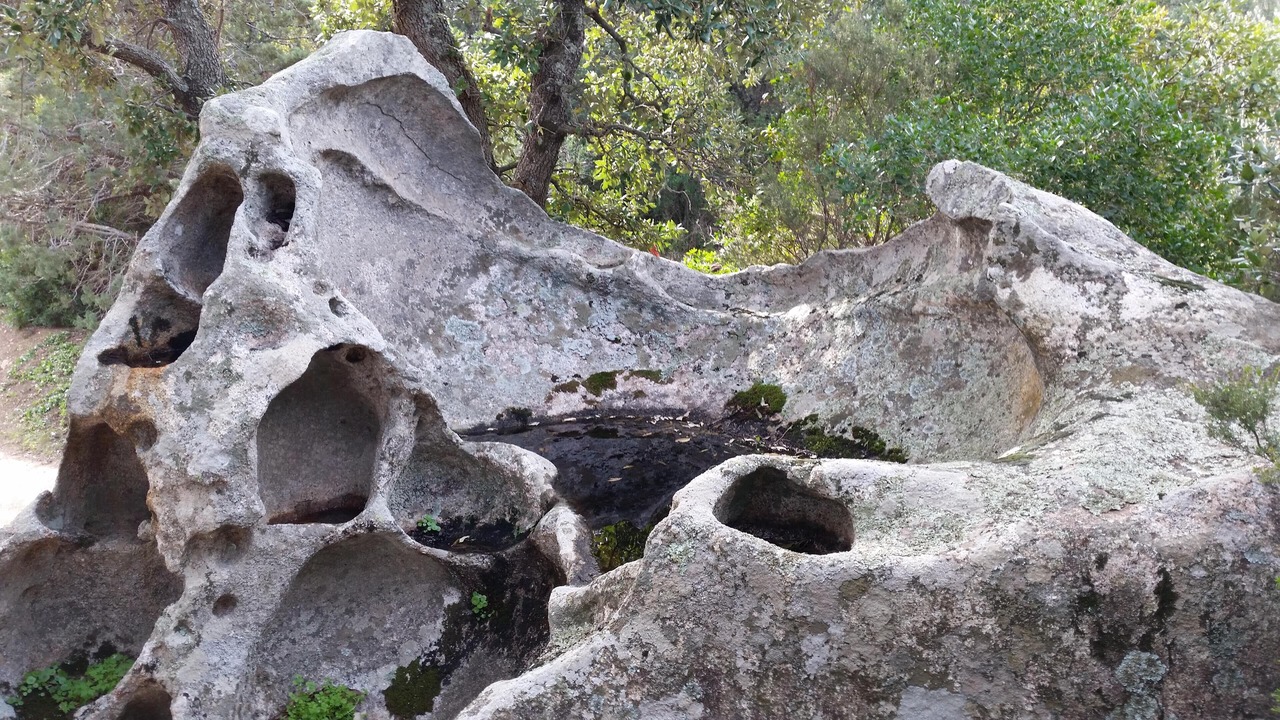 Photo of Outdoor in Porto-Vecchio
