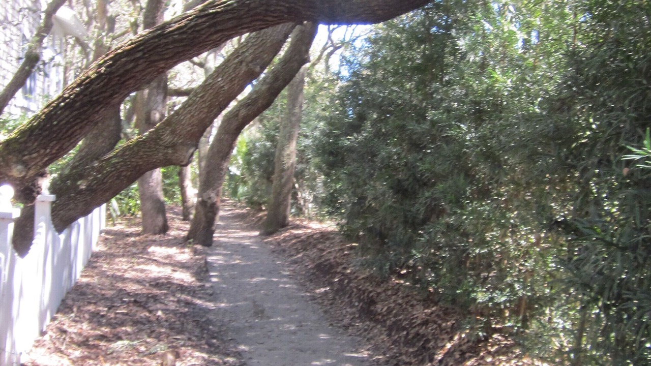 Photo of Others in Kiawah Island
