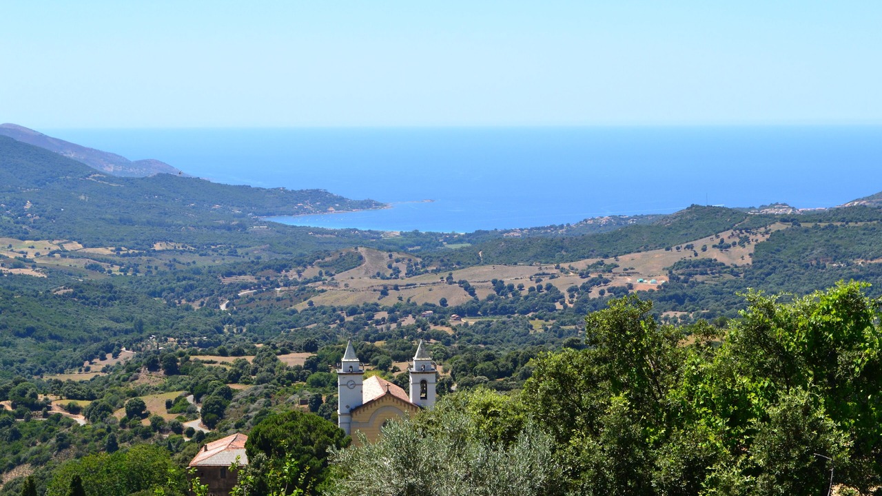 Photo of Others in Sari-d'Orcino