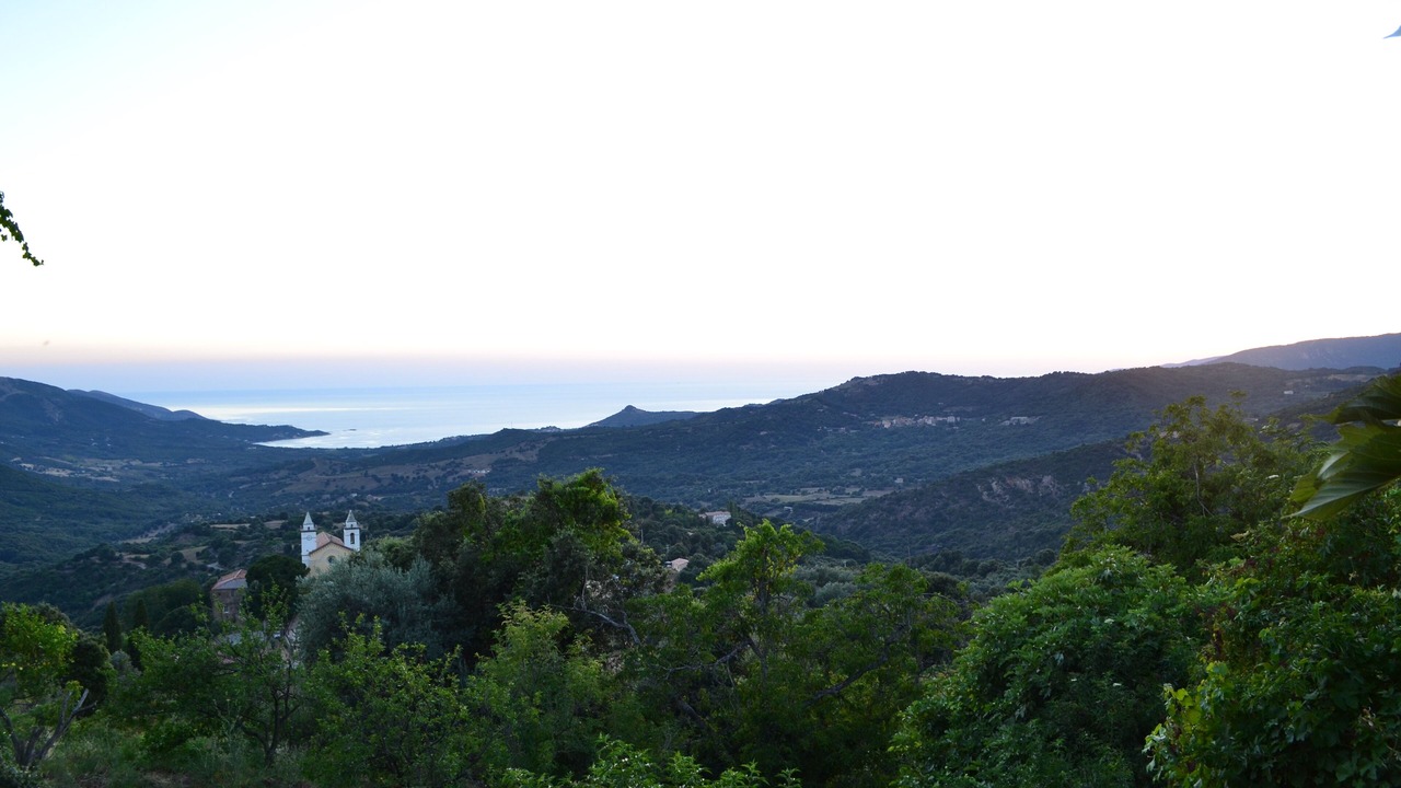 Photo of Others in Sari-d'Orcino