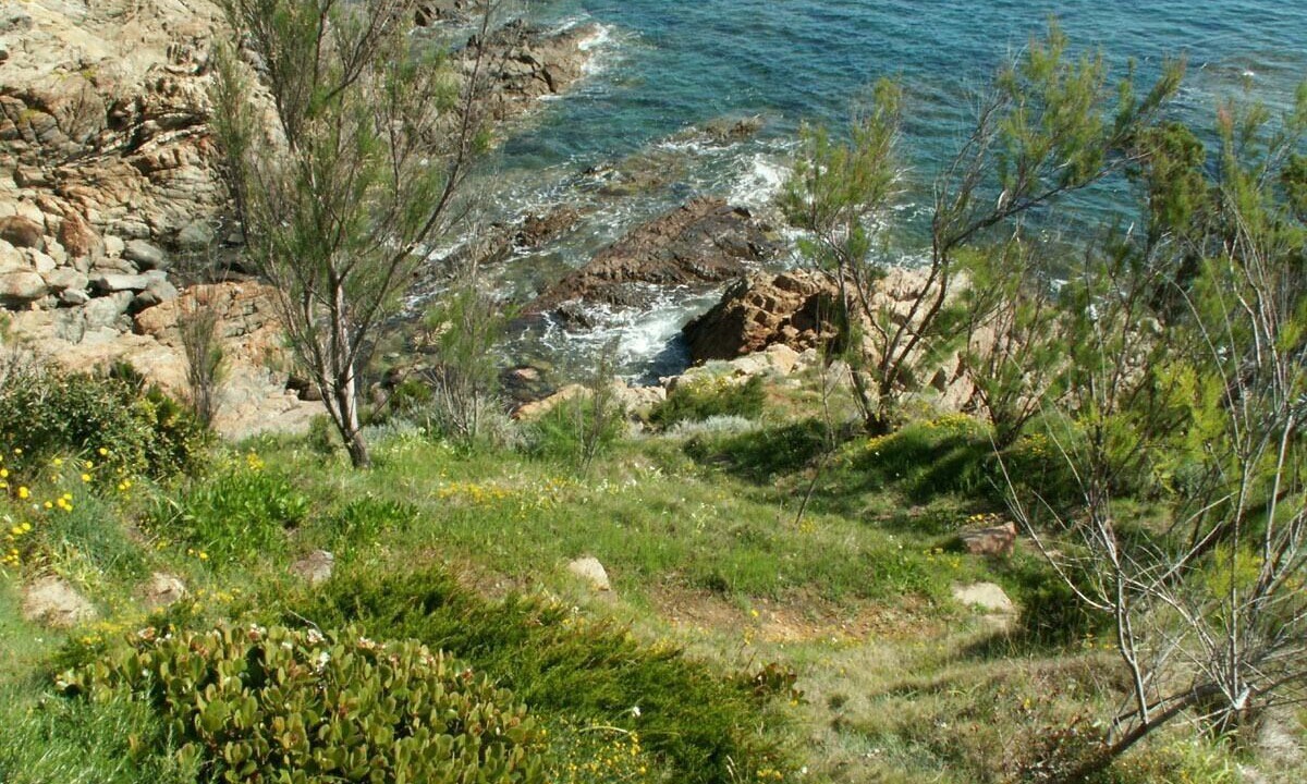 Photo of Outdoor in Pinarellu