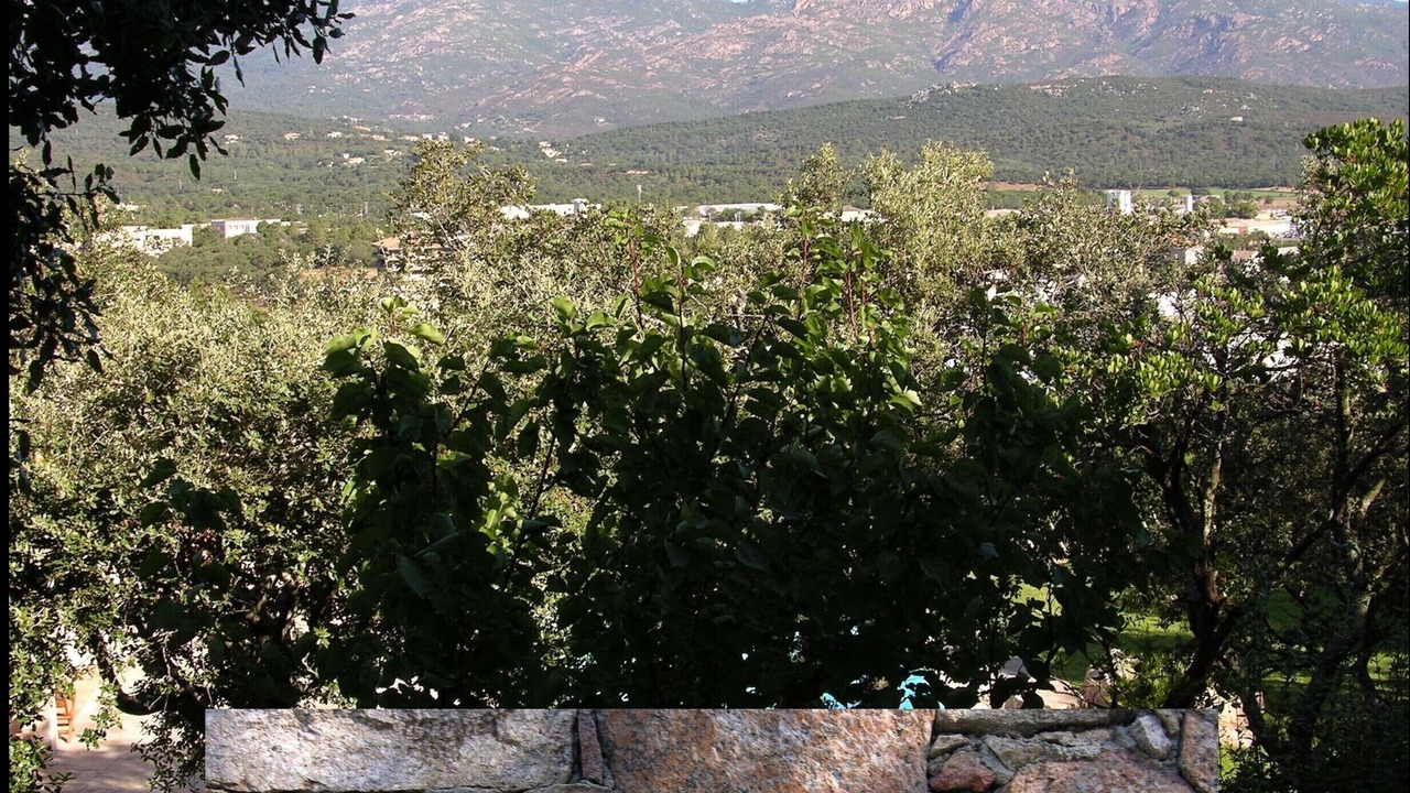 Photo of Outdoor in Porto-Vecchio