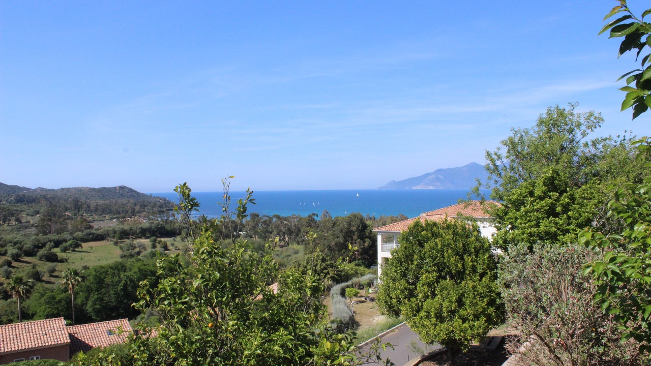 Photo of Others in Saint-Florent