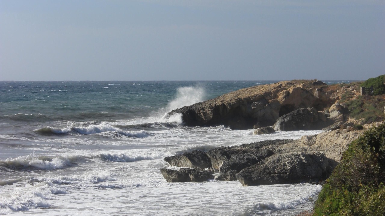 Photo of Others in Saint-Florent