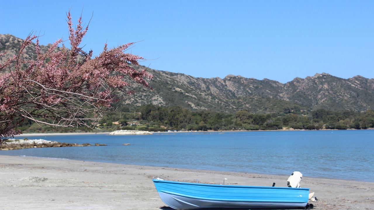 Photo of Others in Saint-Florent