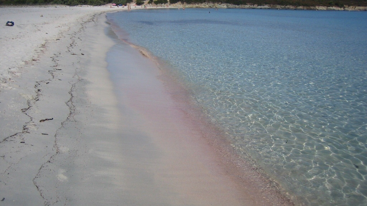 Photo of Others in Saint-Florent