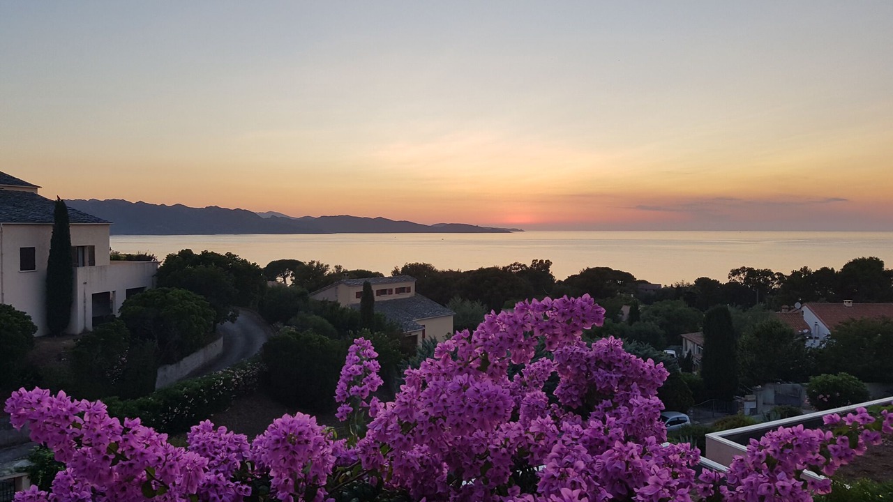 Photo of Others in Saint-Florent