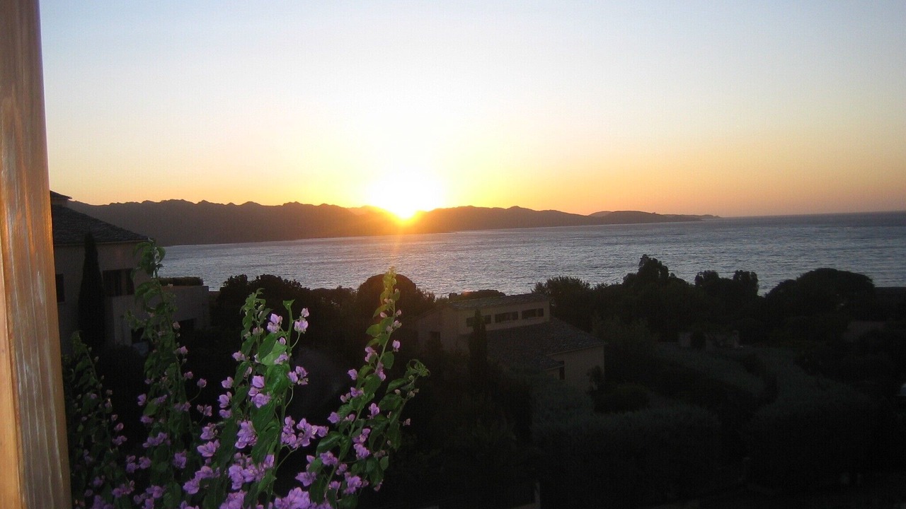 Photo of Others in Saint-Florent