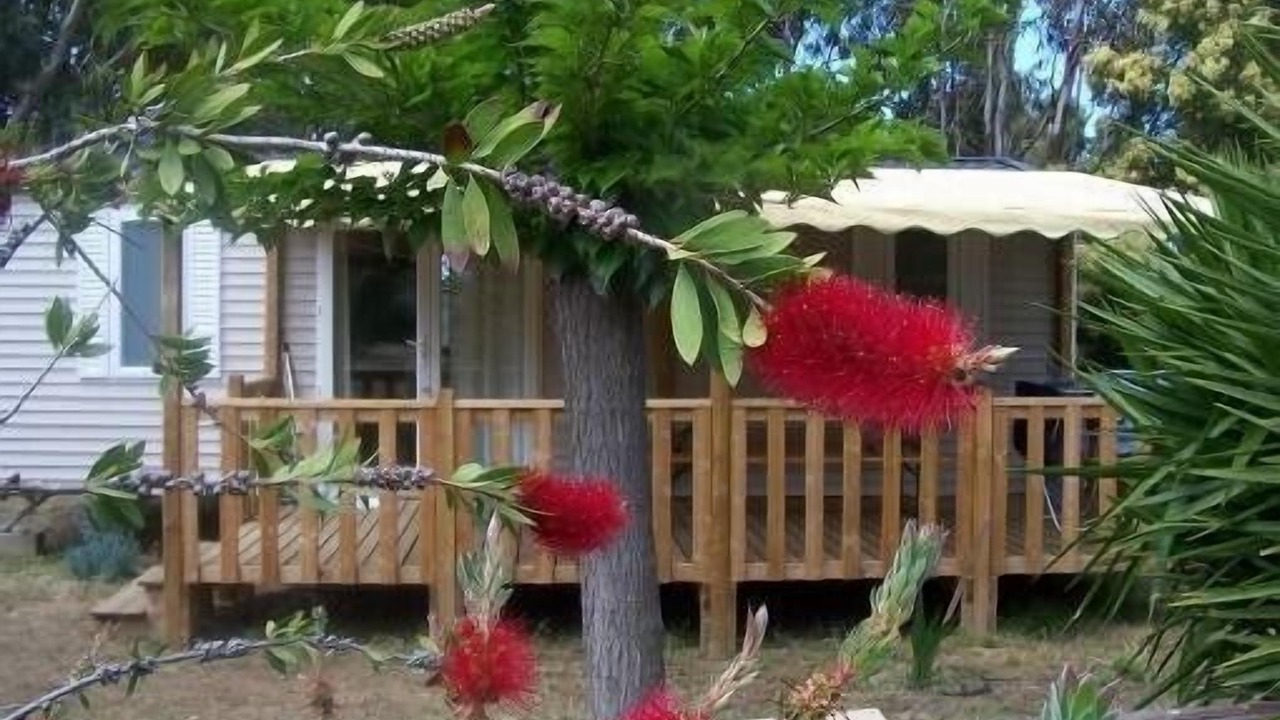 Photo of Patio Balcony in Algajola