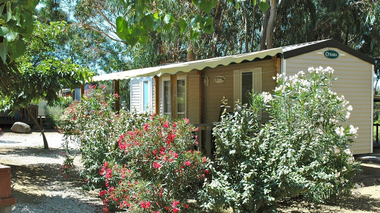 Photo of Outdoor in Algajola