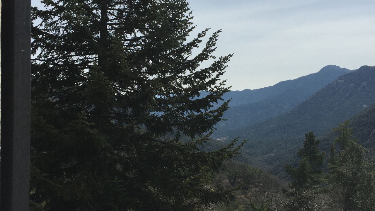 Photo of Outdoor in Letia