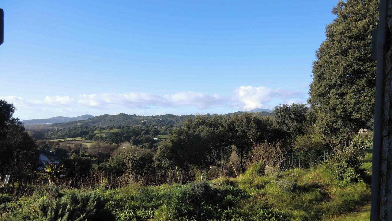 Photo of Others in Sarrola-Carcopino