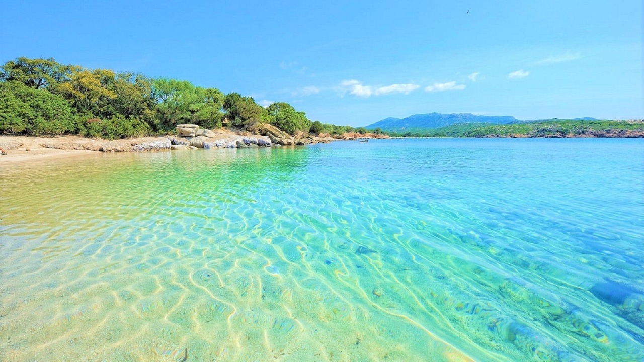 Photo of Others in Figari