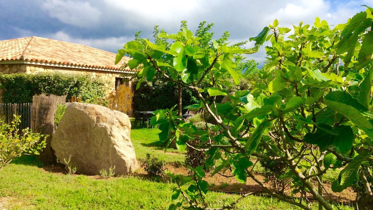 Photo of Outdoor in Figari