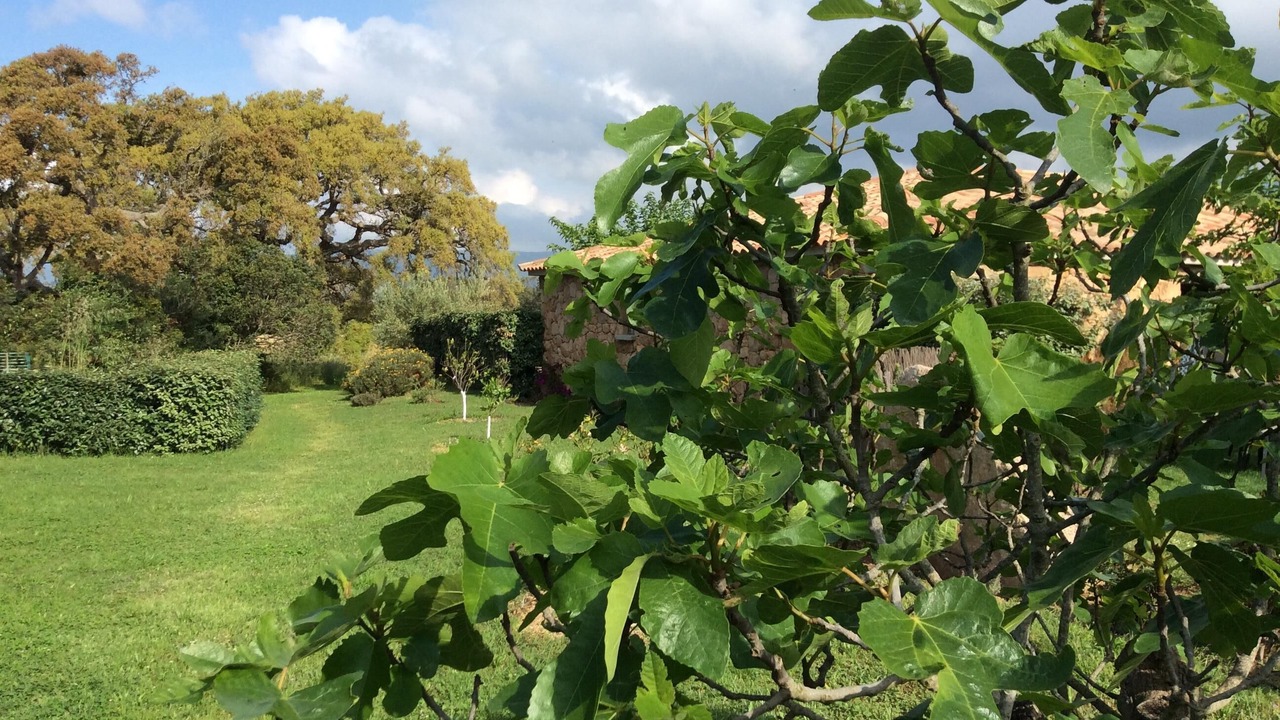 Photo of Outdoor in Figari